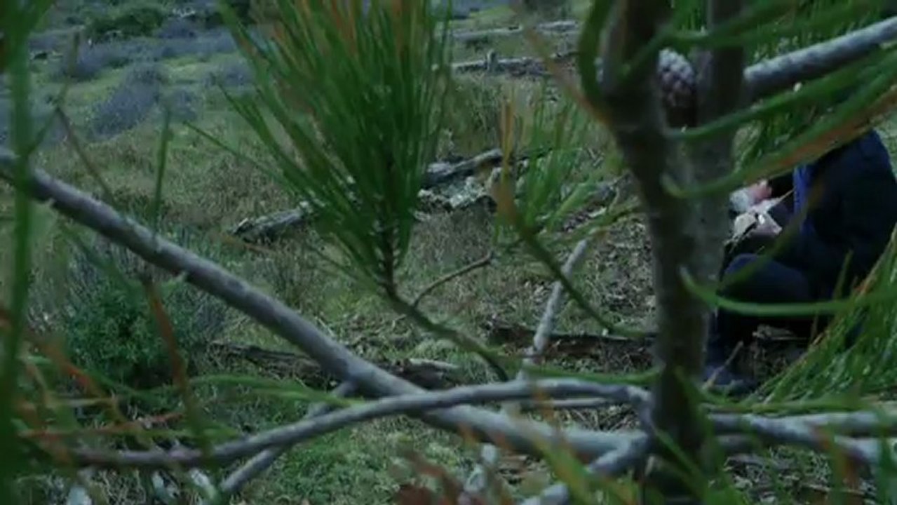 Louis Francesco Arena - Empty House (Official Video Clip)