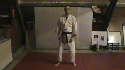 Kempo : choku tsuki