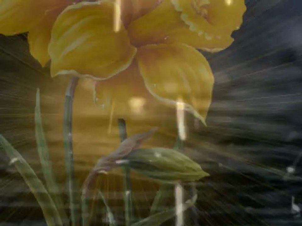 çiçekte tohum biter mi?