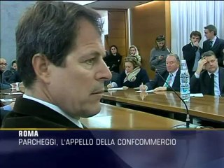 Parcheggi a Roma, appello di Confcommercio