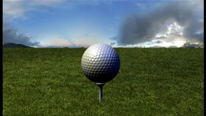 TaylorMade Raylor Corza Putter - 2011 Putters Test - Today's Golfer