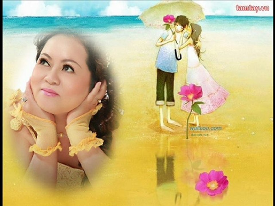 Toi - phokimyen