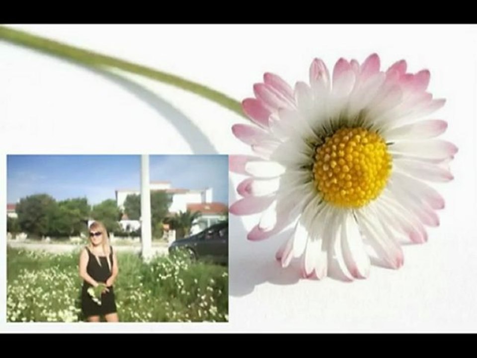 FATIH KISAPARMAK - PAPATYA FALI