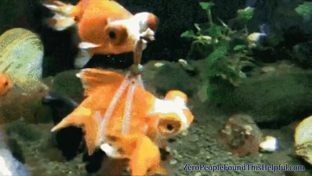 Compilation GIF en musique