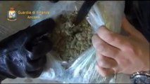 Ancona - Sequestrati circa 47 chilogrammi di marijuana (12.02.13)