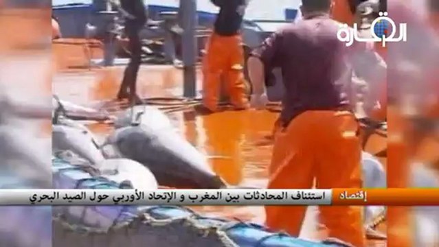 استئناف محادثات بين المغرب و الإتحاد الأوربي حول الصيد