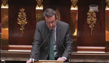 Vote du mariage pour tous: Jean-Christophe Fromantin (UDI)
