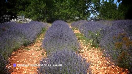 Provenza, tra natura e cultura.