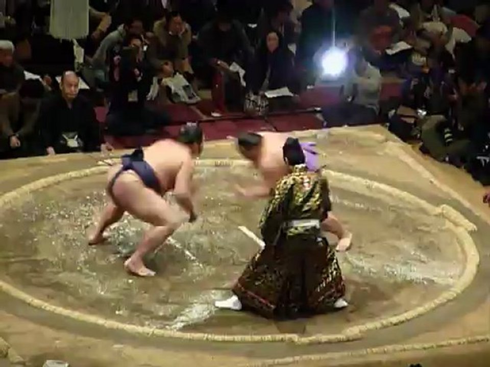 Sumo Pro - Combat 2