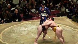 Sumo Pro - Combat 5