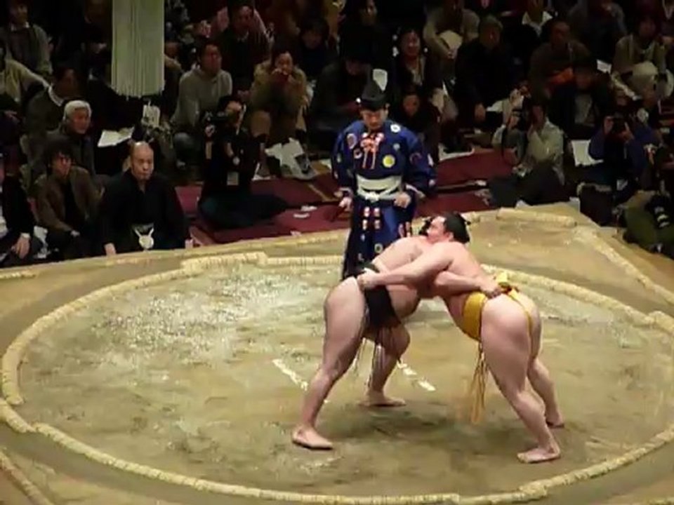 Sumo Pro - Combat 5