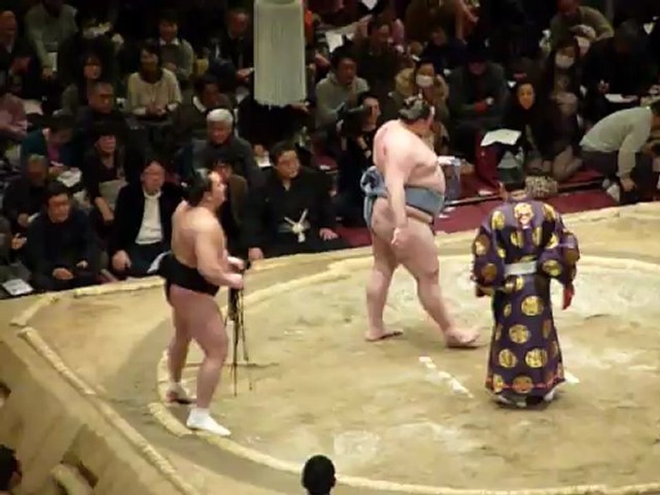 Sumo Pro - 1/16ème Finale