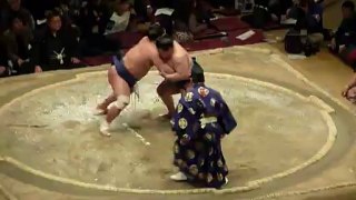 Sumo Pro - Huitième de Finale 3