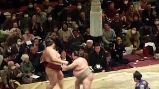 Sumo Pro - Huitième de Finale 5