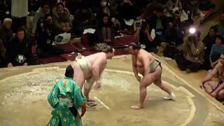 Sumo Pro - Quart de Finale 3