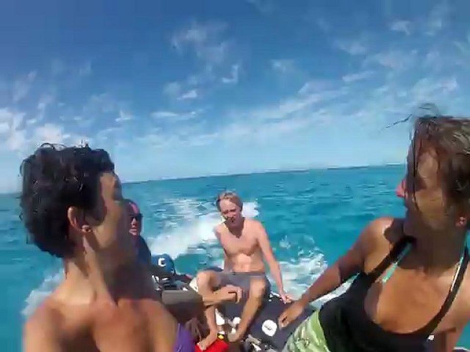 Dauphins dans le lagon