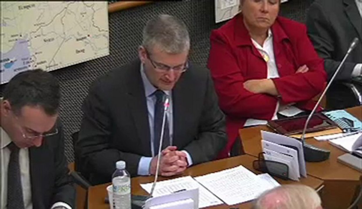 Commission du développement durable : audition de Mme Anne de Béthencourt et de M. Jacky Chorin, sur l'efficacité énergétique du 13/02/2013