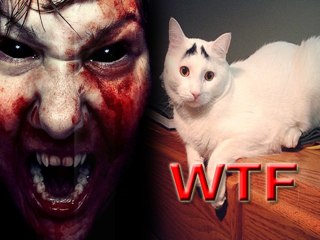 Weird True Facts 13 02 2013