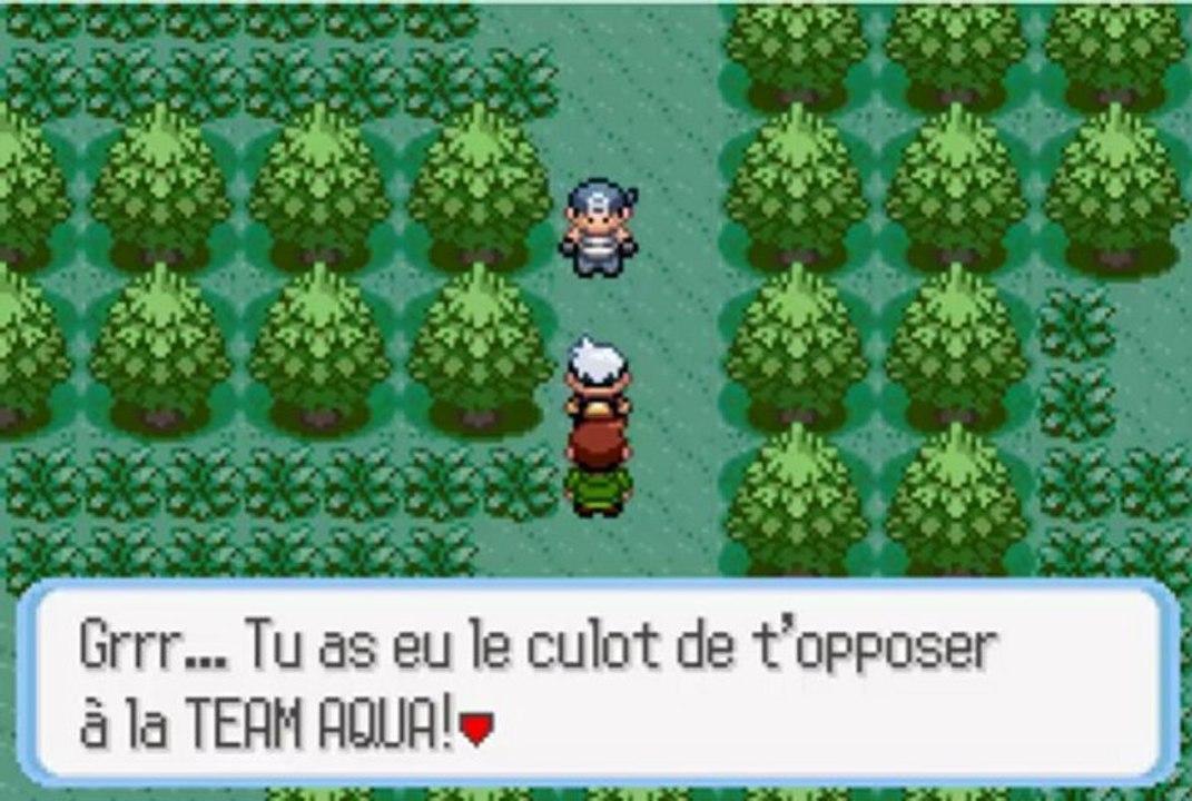 Pokémon version Saphir 4 promenons-nous dans les bois