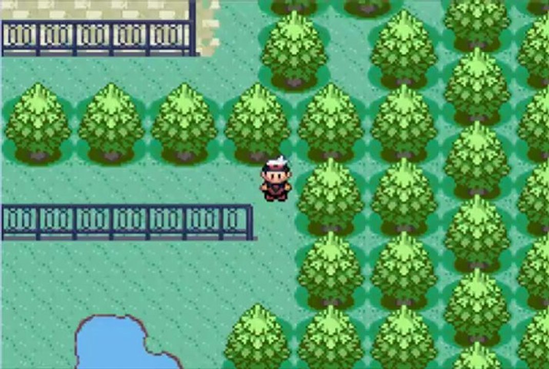 Pokémon Version Saphir 6 Level UP 2