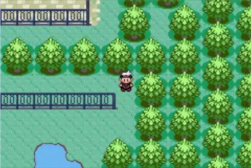 Pokémon Version Saphir 6 Level UP 2