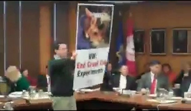 Les militants PETA accusent une université américaine de torturer des chats