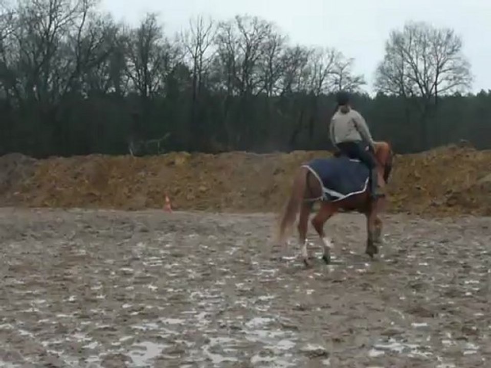 uno dressage 22 decembre 2