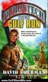 Science Fiction Book Summary: Gulf Run (Demontech, Book 3) by David Sherman