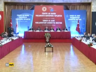 CEMİL ÇİÇEK EGEMEN BAĞIŞ AB ELEŞTİRİSİ