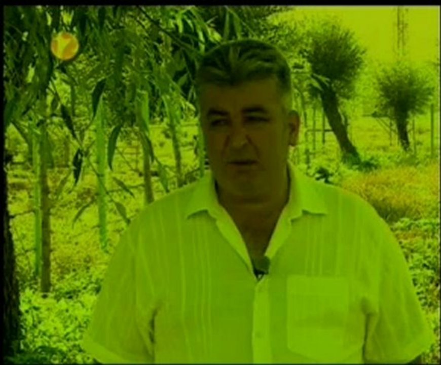 Taşköprü - İZ TV