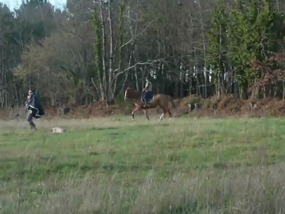 uno dressage 2 fevrier 2