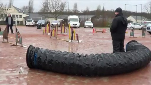 dove stage d'agility weekend 8 et 9 fevrier 2013