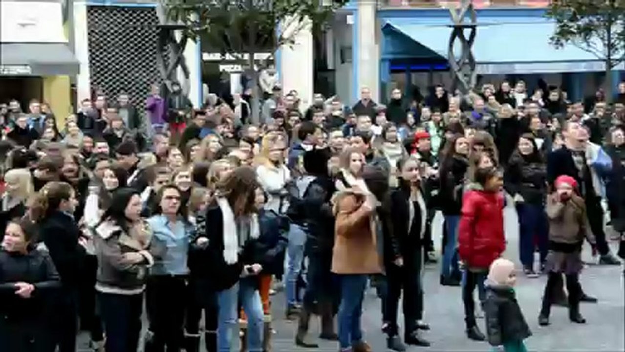 FLASHVIDEO