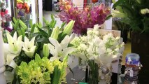 Florists Gear Up for Valentine's Day with Roses
