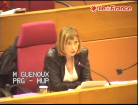 Région IDF - Plan Artisanat - Intervention de Muriel GUENOUX (PRG)