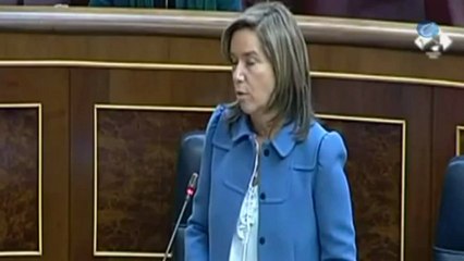 Mato acusa al PSOE de "responsabilizar a una mujer de lo que hace un hombre"