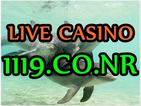 마이크로게이밍^^$나이트팔라스 1119.CO.NR 플레이텍 에이플러스카지노 제이슨이야기