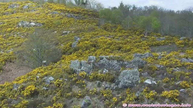 Lac de Guerlédan et les principaux sites touristiques du pays