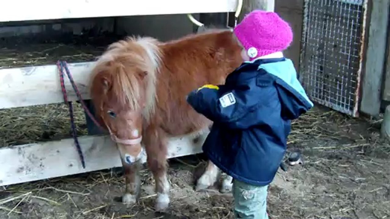Caramel & emmy 2013