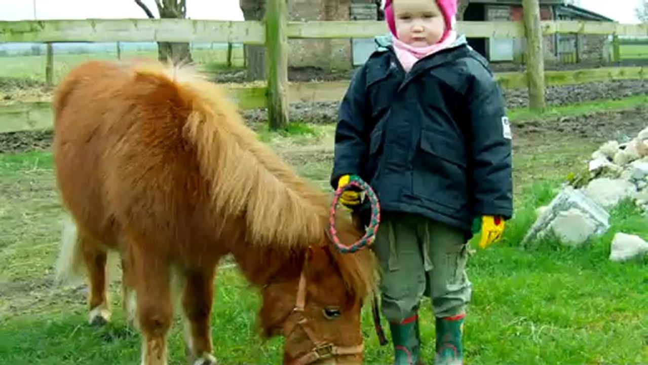 Caramel & emmy  sur la pelouse