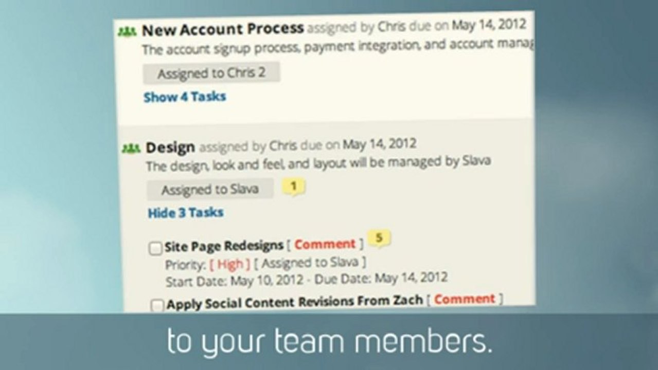 software project management