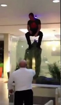 Plonger dans un aquarium d’hôtel