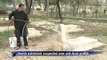 Extremists vandalise Muslim cemetery in Jerusalem