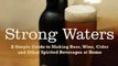 Cooking Book Summaries: Strong Waters: A Simple Guide to Making Beer, Wine, Cider and Other Spirited Beverages at Home by Scott Mansfield, Anya Fernald