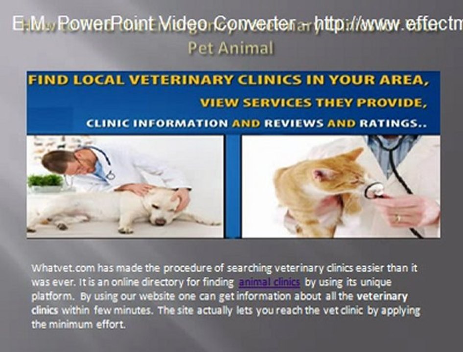 5 Important Tips on Choosing the Right Pet Veterinarian
