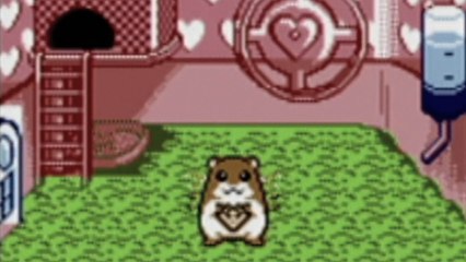 CGR Undertow - HAMSTER PARADISE review for Game Boy Color