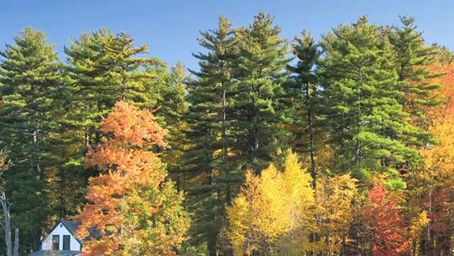 Link Moser Explains His Approach to Selling NH Real Estate