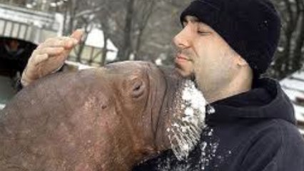 Marineland Trainer Allegedly Plots to Steal Smooshi the Walrus