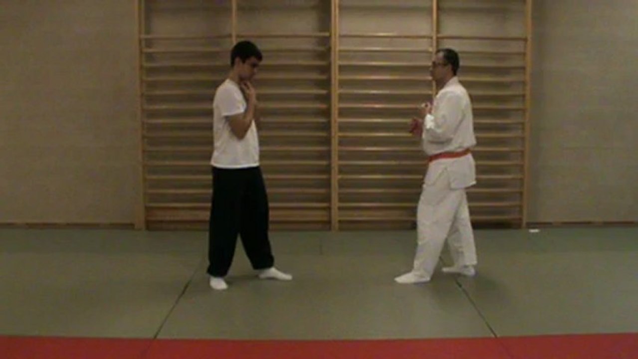 (gedan) mawashi to ura mawashi geri