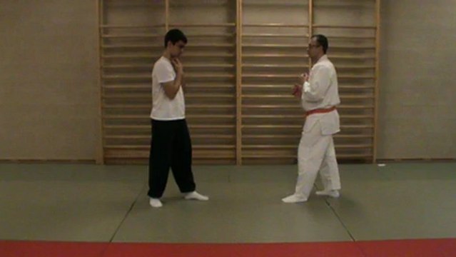 (gedan) mawashi to ura mawashi geri